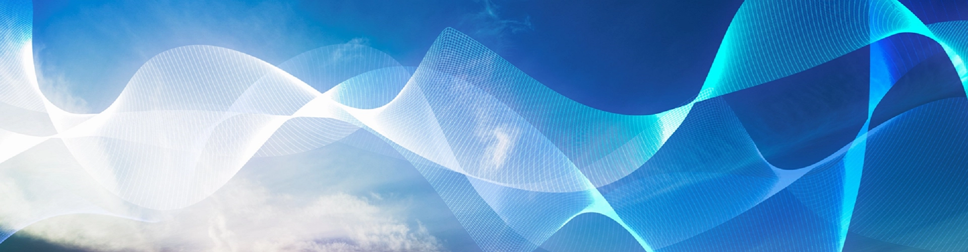 Expert System Integration Services